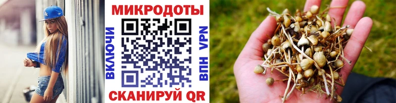Галлюциногенные грибы MAGIC MUSHROOMS  где купить наркоту  Мглин 